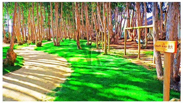 VR | Algarrobo Playa Mirasol 5PAX mar cerca, piscina, hermos