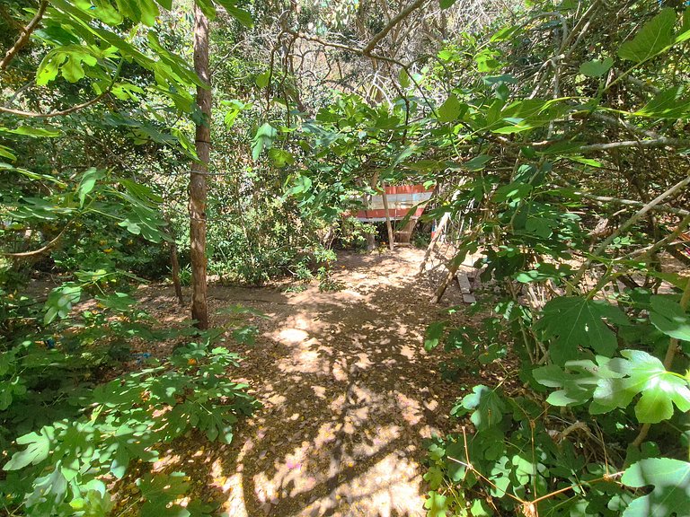 VR|Algarrobo Suite 2PAX Naturaleza & Playa