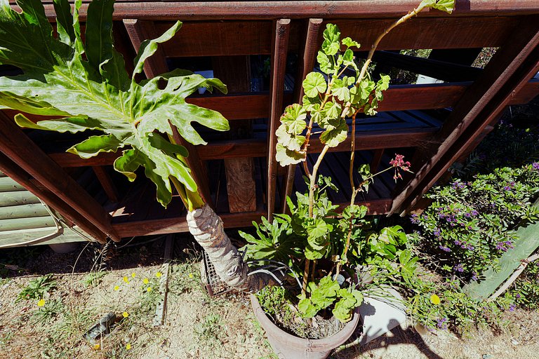 Algarrobo Cabaña a 2 cuadras Playa El Canelo+Wifi