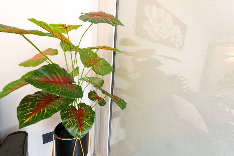 VR | 4 PAX Nuevo central, metro, cowork y azotea